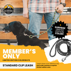 Standard Clip Leash