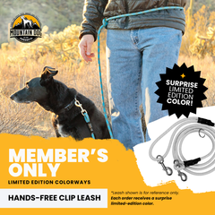 Hands-Free Standard Clip Leash