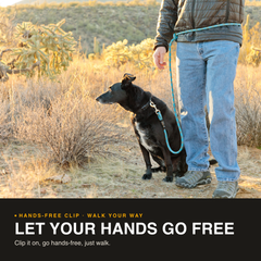 Hands-Free Standard Clip Leash