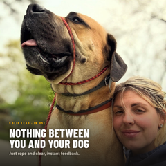 Standard Slip Leash