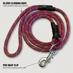 Standard Clip Leash