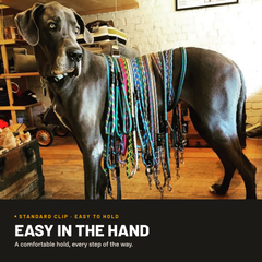 Standard Clip Leash