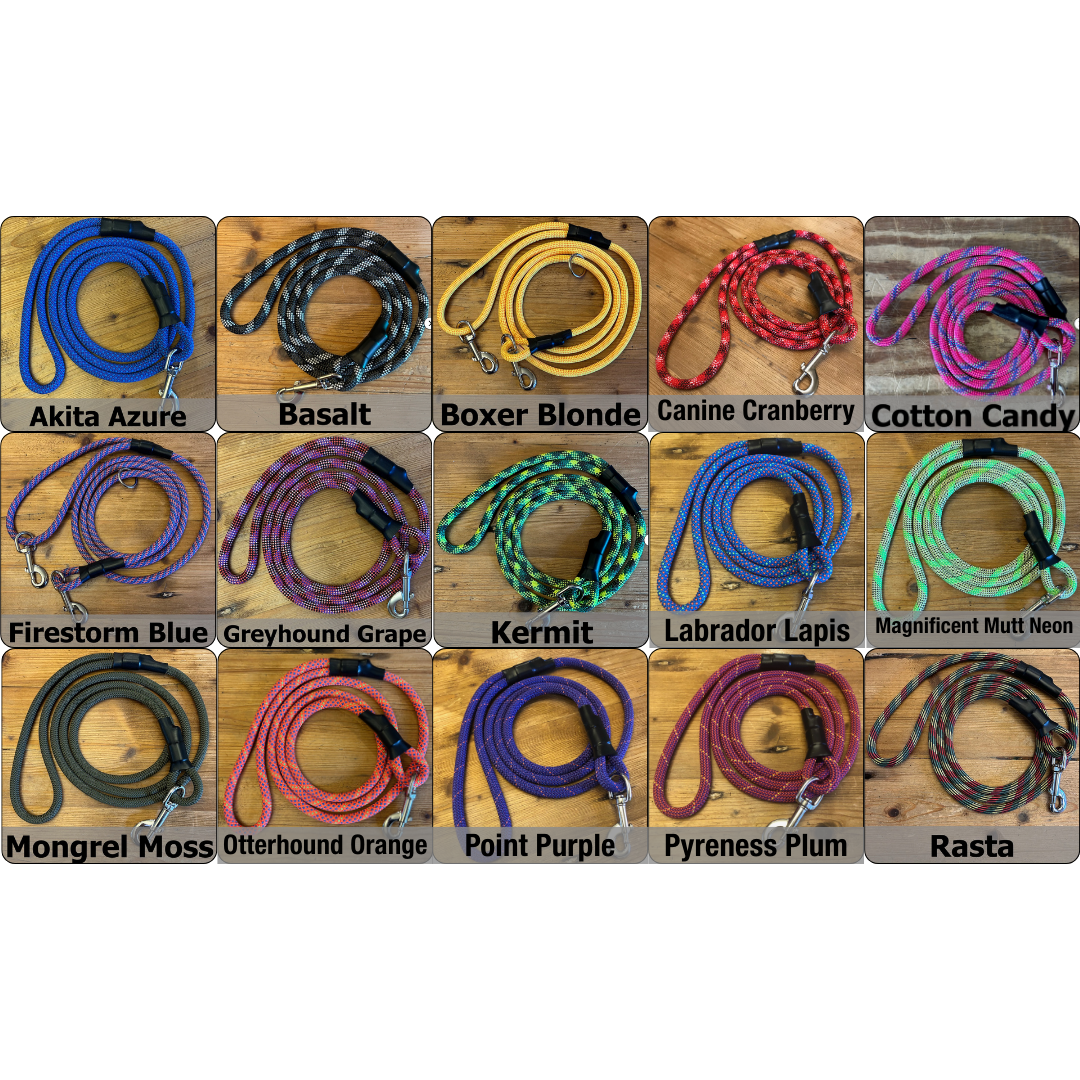 The Ultimate Leash Bundle