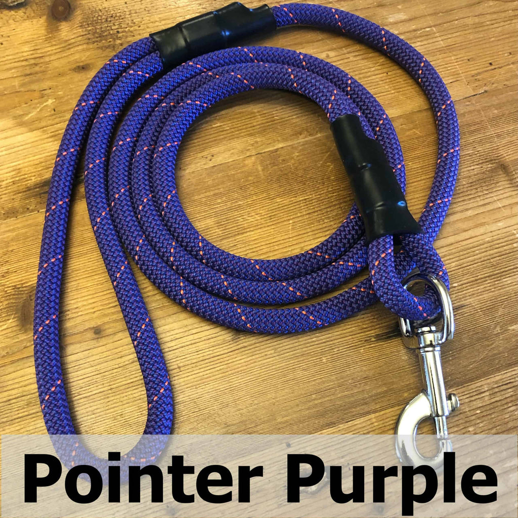 Standard Clip Leash in Pointer Purple, upcycled climbing rope dog leash