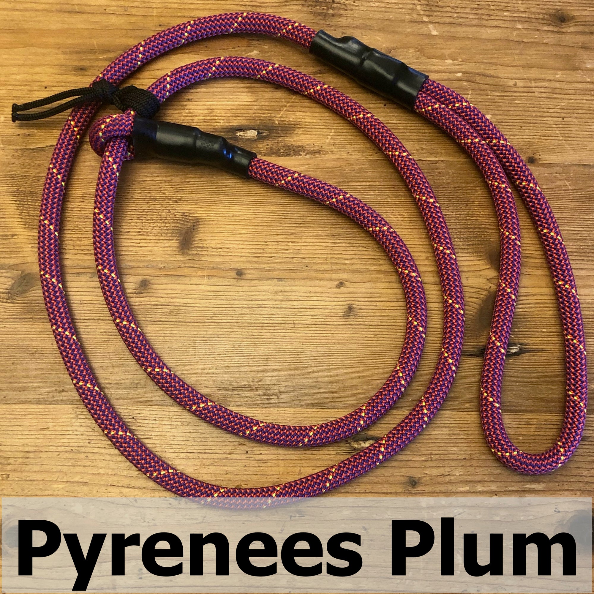 Standard Slip Leash
