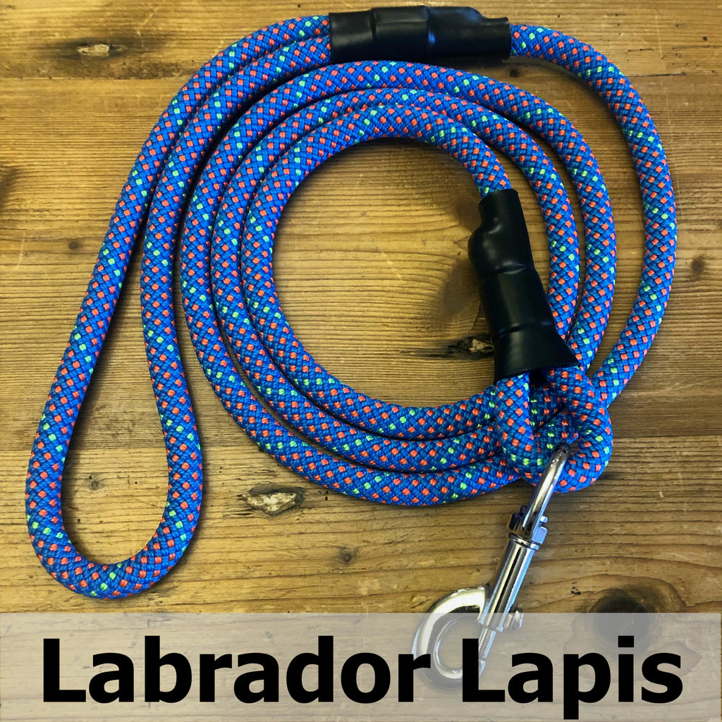 Standard Clip Leash in Labrador Lapis, upcycled climbing rope dog leash
