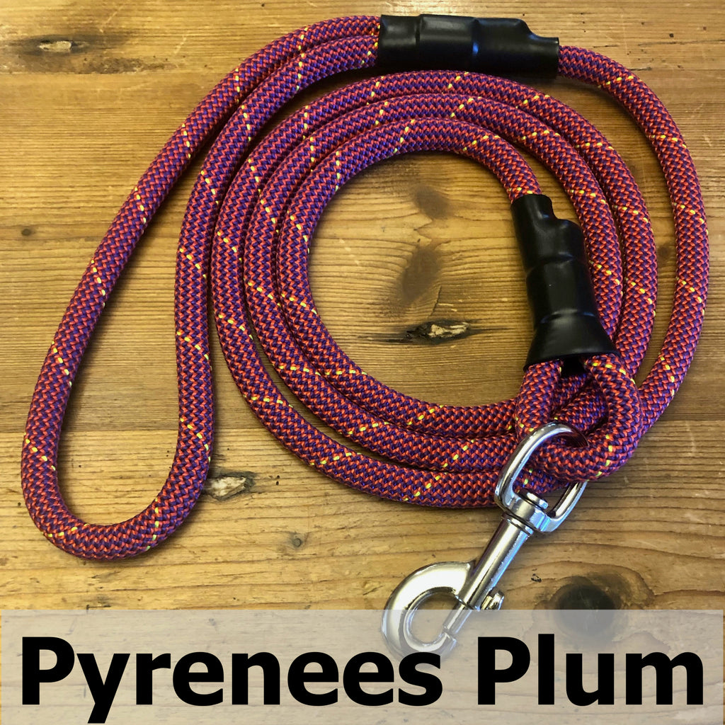 Standard Clip Leash in Pyrenees Plum, upcycled climbing rope dog leash