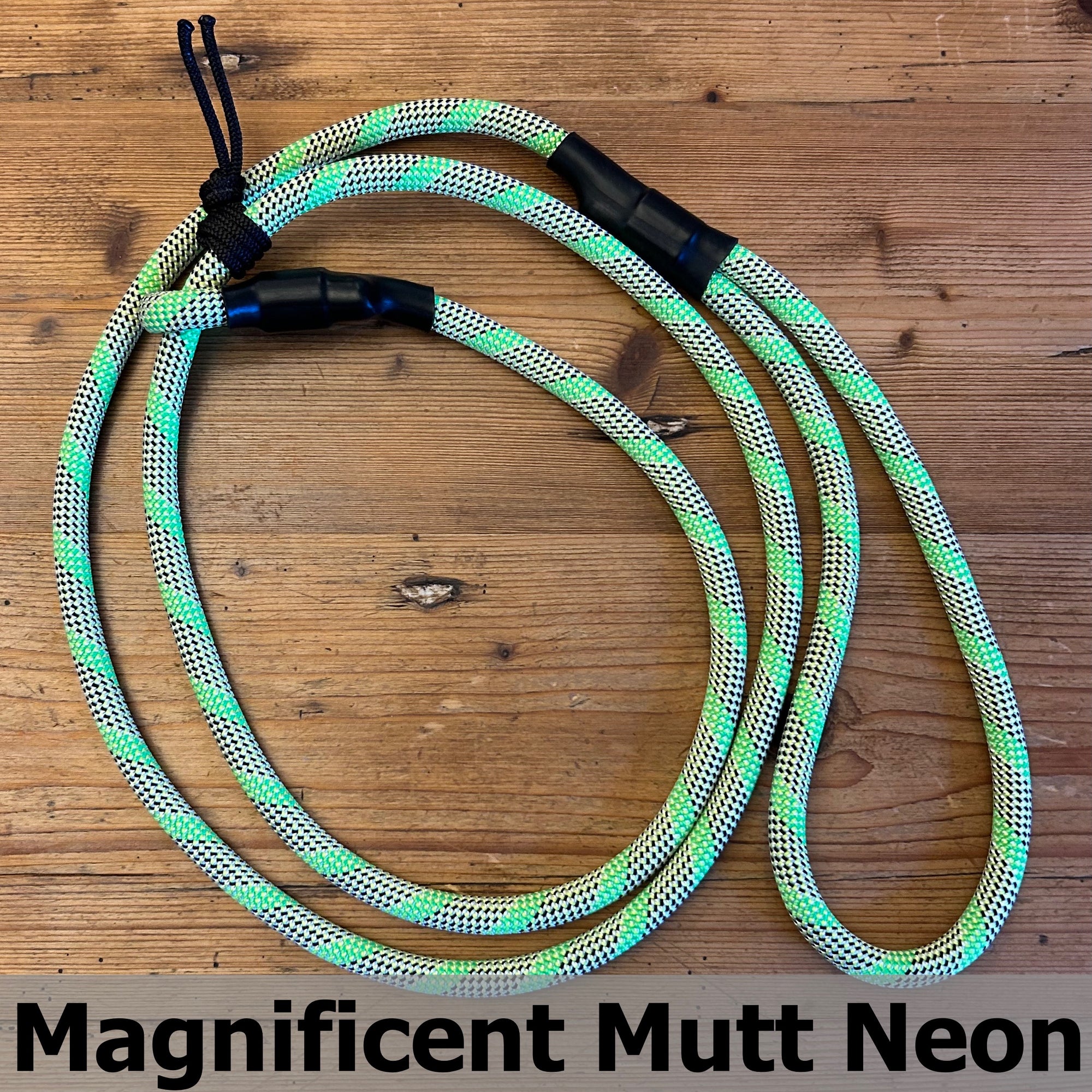 Standard Slip Leash