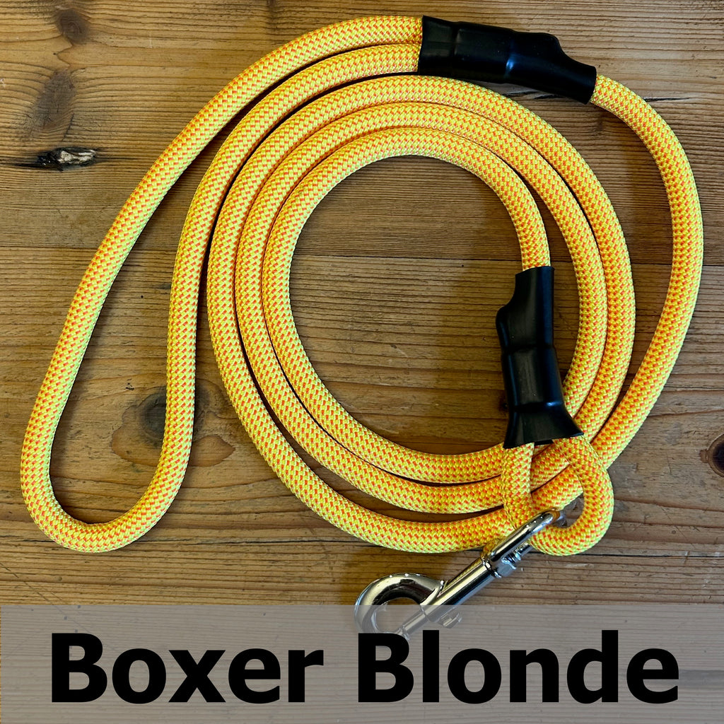 Standard Clip Leash in Boxer Blonde, upcycled climbing rope dog leash