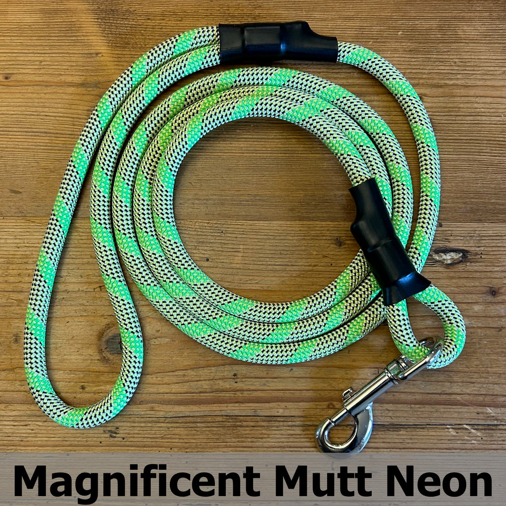 Standard Clip Leash in Magnificent Mutt Neon, upcycled climbing rope dog leash