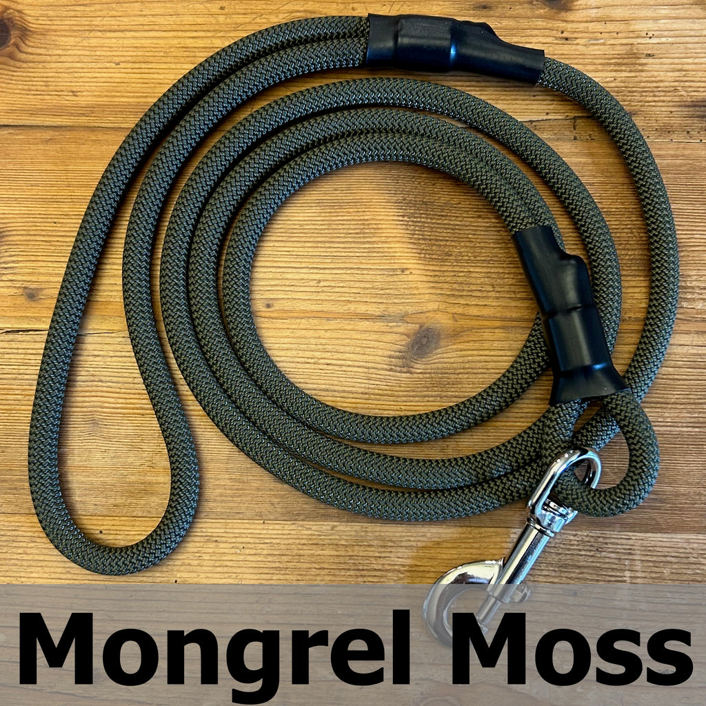 Standard Clip Leash in Mongrel Moss, upcycled climbing rope dog leash