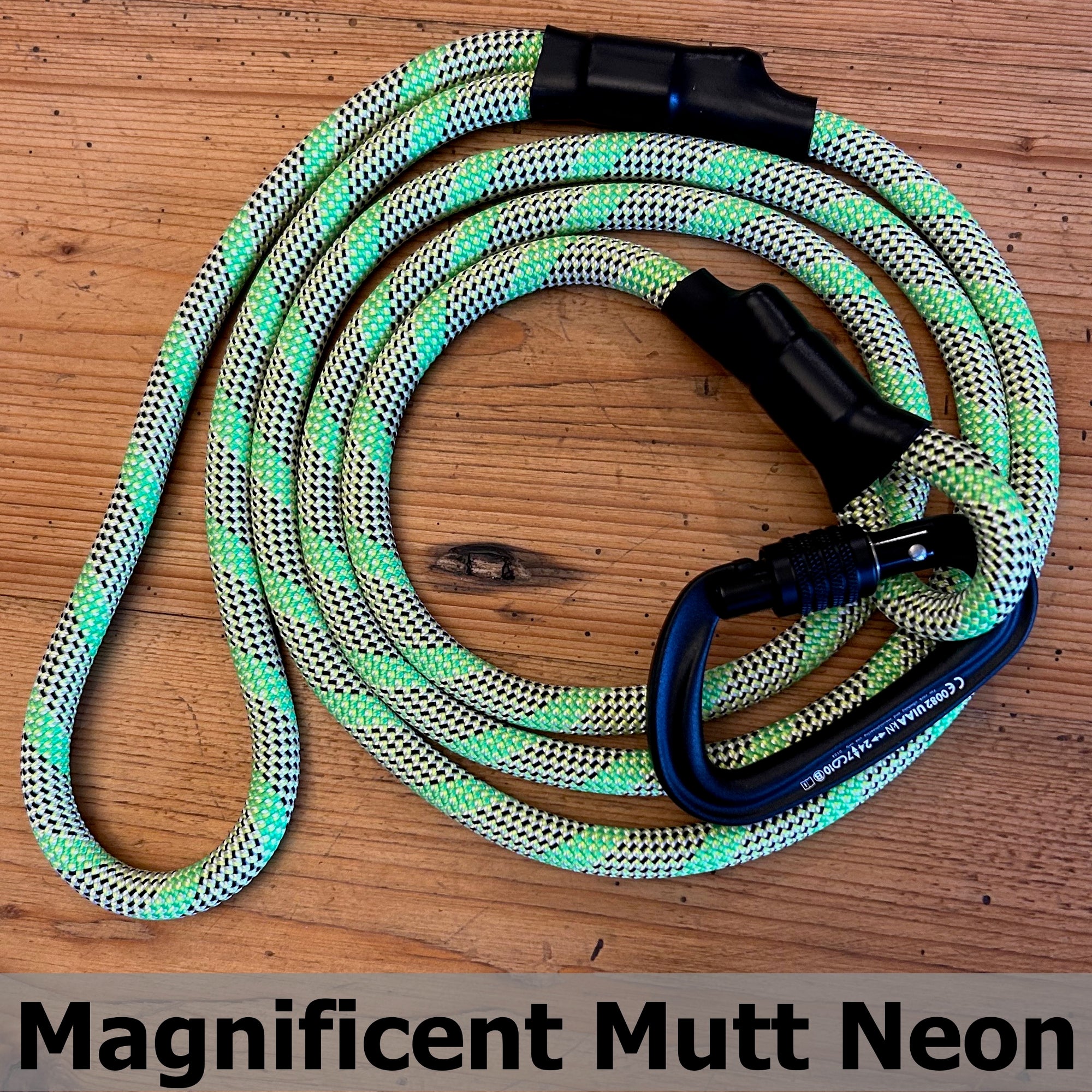 Standard Carabiner Leash