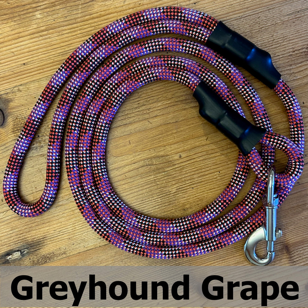 Standard Clip Leash in Greyhound Grape, upcycled climbing rope dog leash