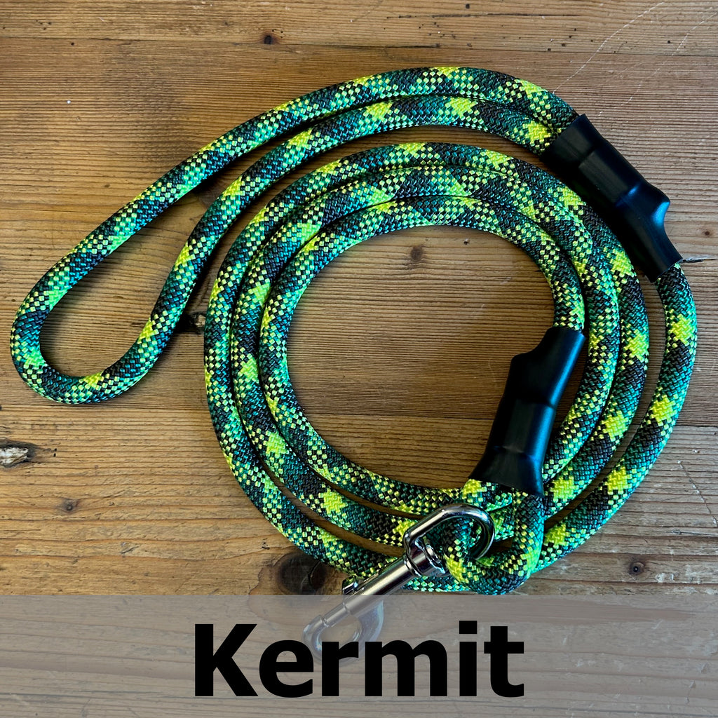 Hands-Free Standard Carabiner Leash in Kermit, upcycled climbing rope dog leash