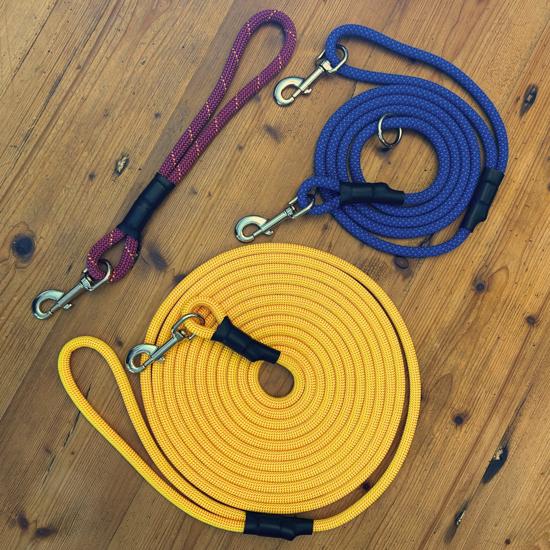 The Ultimate Leash Bundle