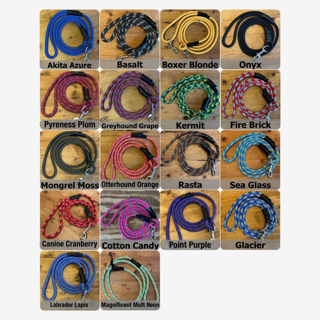 The Ultimate Leash Bundle