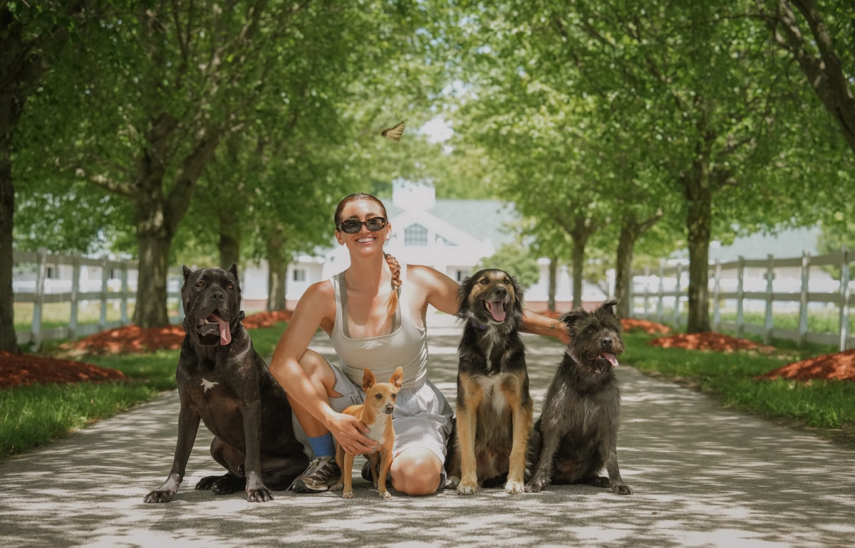 Samantha Johnson walking four dogs on a Los Angeles street