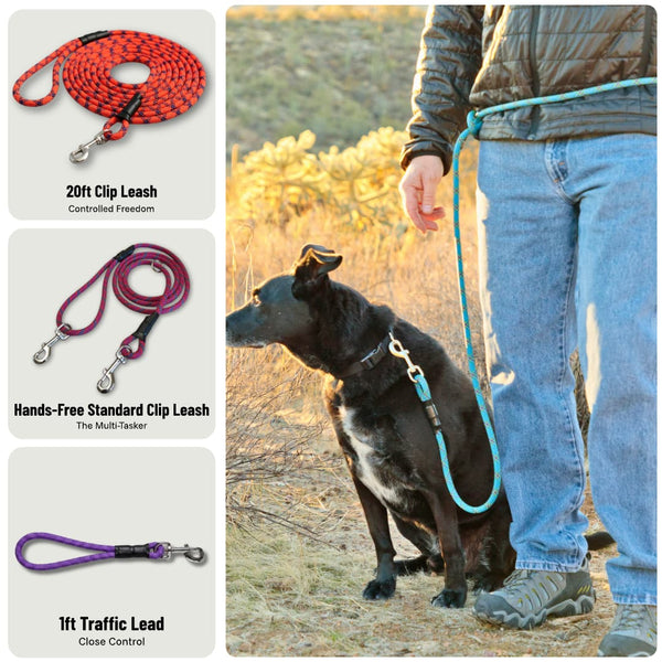 The Ultimate Leash Bundle