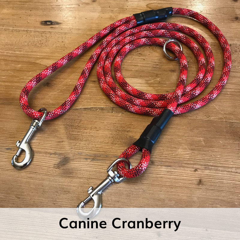 Hands-Free Standard Clip Leash