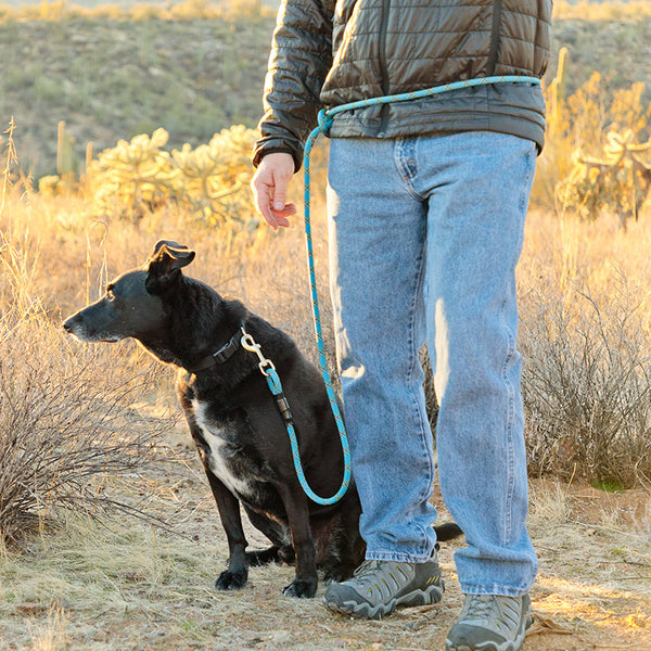 Hands-Free Standard Clip Leash