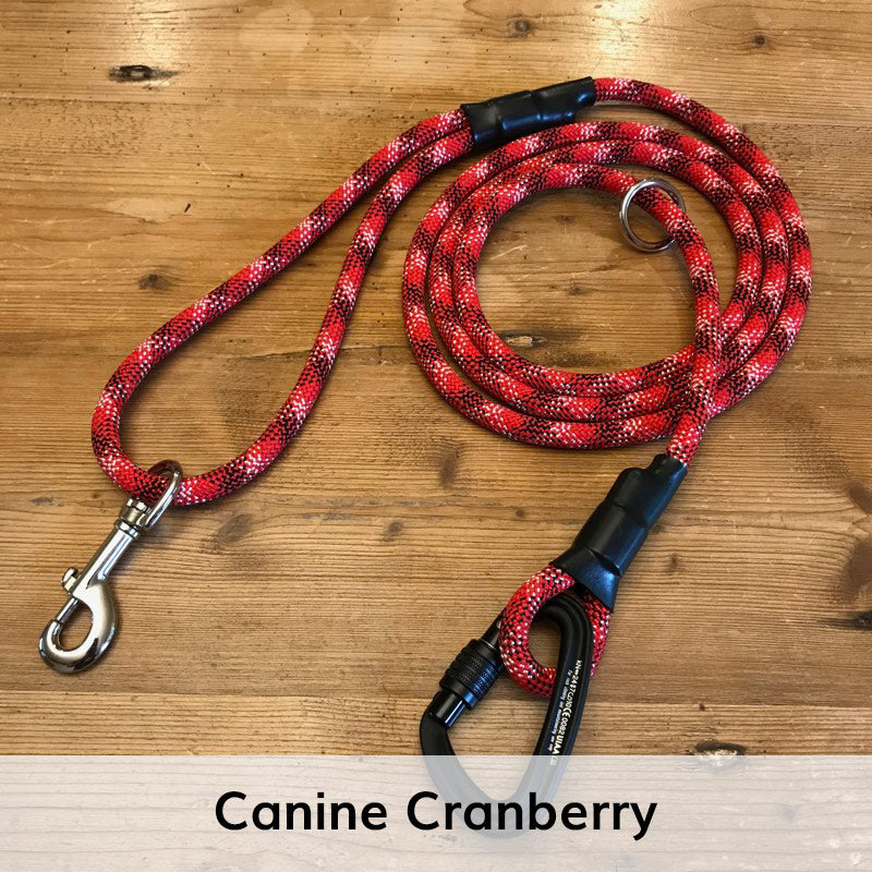 Hands-Free Standard Carabiner Leash