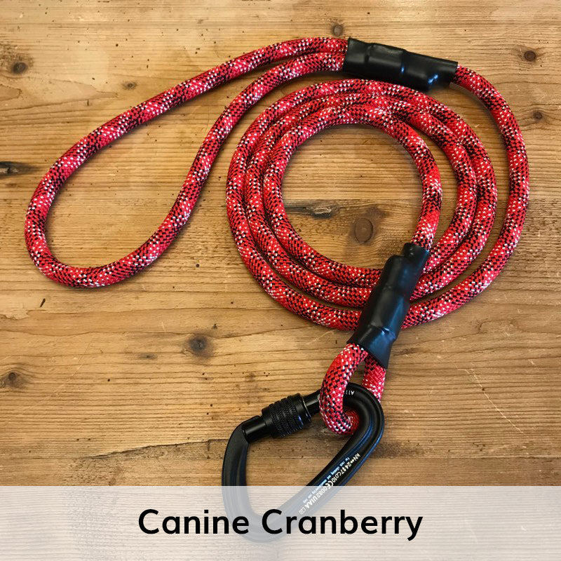 Standard Carabiner Leash