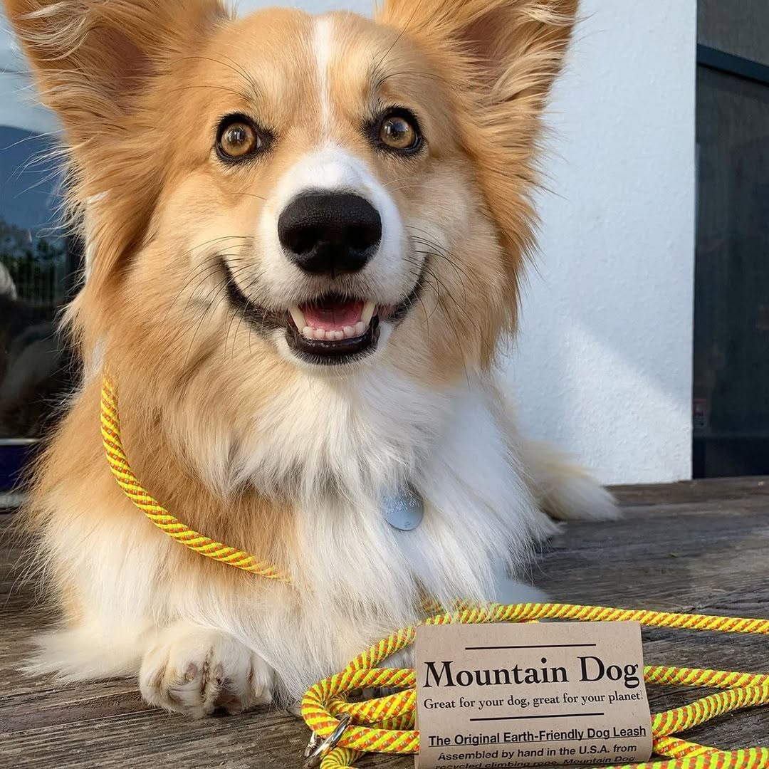 MountainDogProducts
