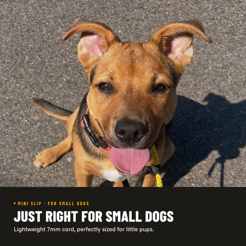 Mini Slip Leash