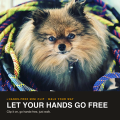 Hands-Free Mini Clip Leash