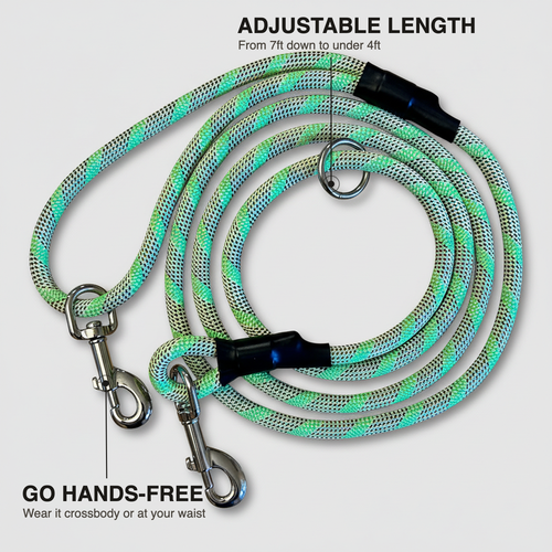 Hands-Free Standard Clip Leash