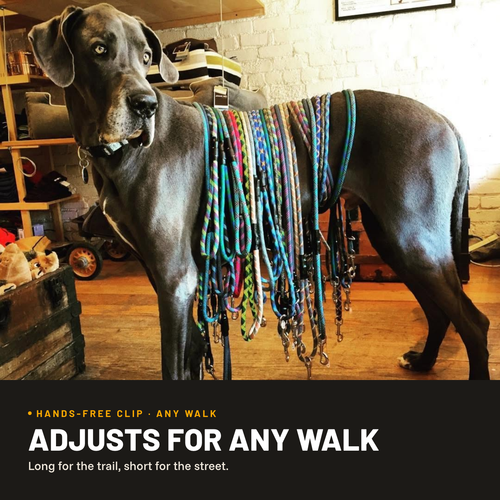 Hands-Free Standard Clip Leash