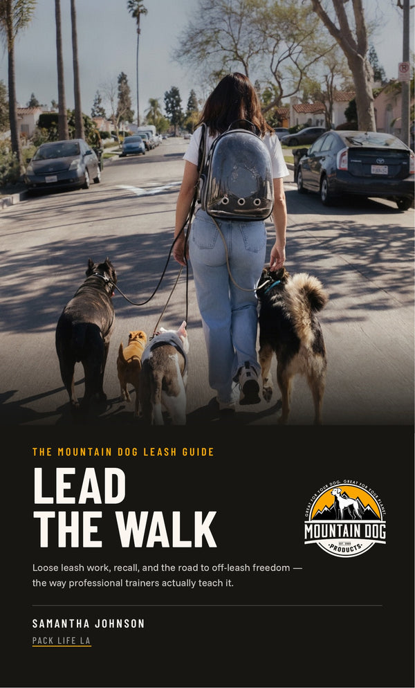 Cover of Lead The Walk by Samantha Johnson