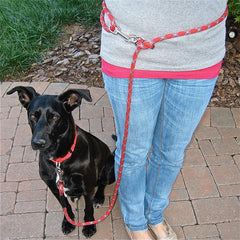 Hands-Free Mini Clip Leash