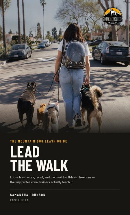 Cover of Lead The Walk by Samantha Johnson