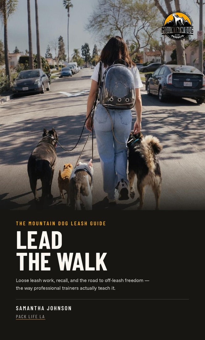 Cover of Lead The Walk by Samantha Johnson
