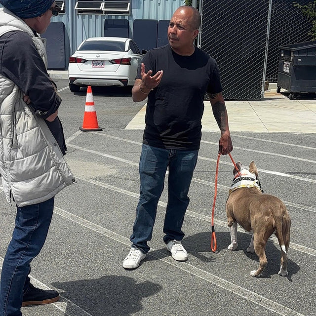 Oscar talking a dog owner through a session in a parking lot