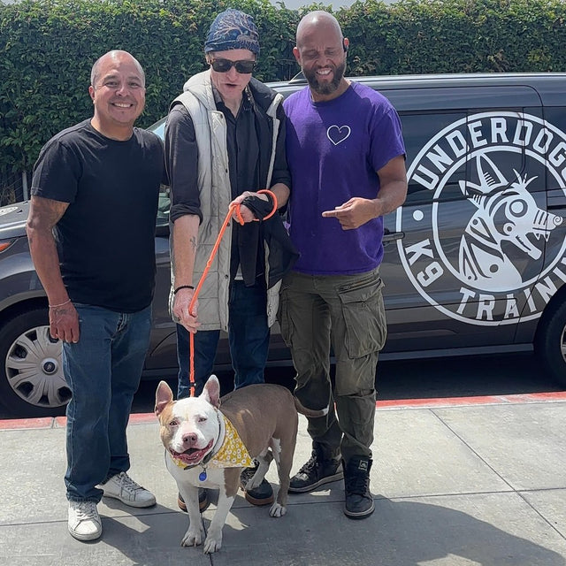 Oscar with a client and their dog beside the Underdogs K9 Training van