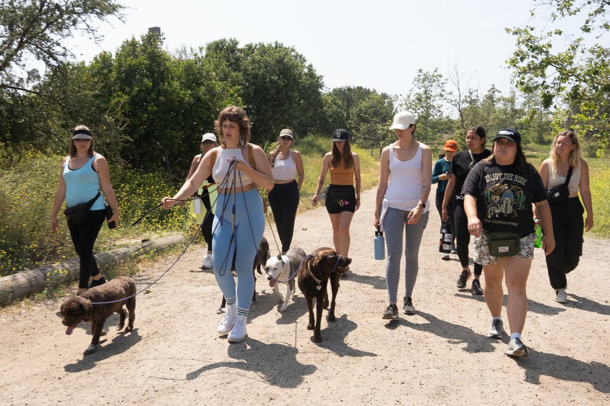 Rachel Martinez leading a group walk of owners and dogs on a Los Angeles trail
