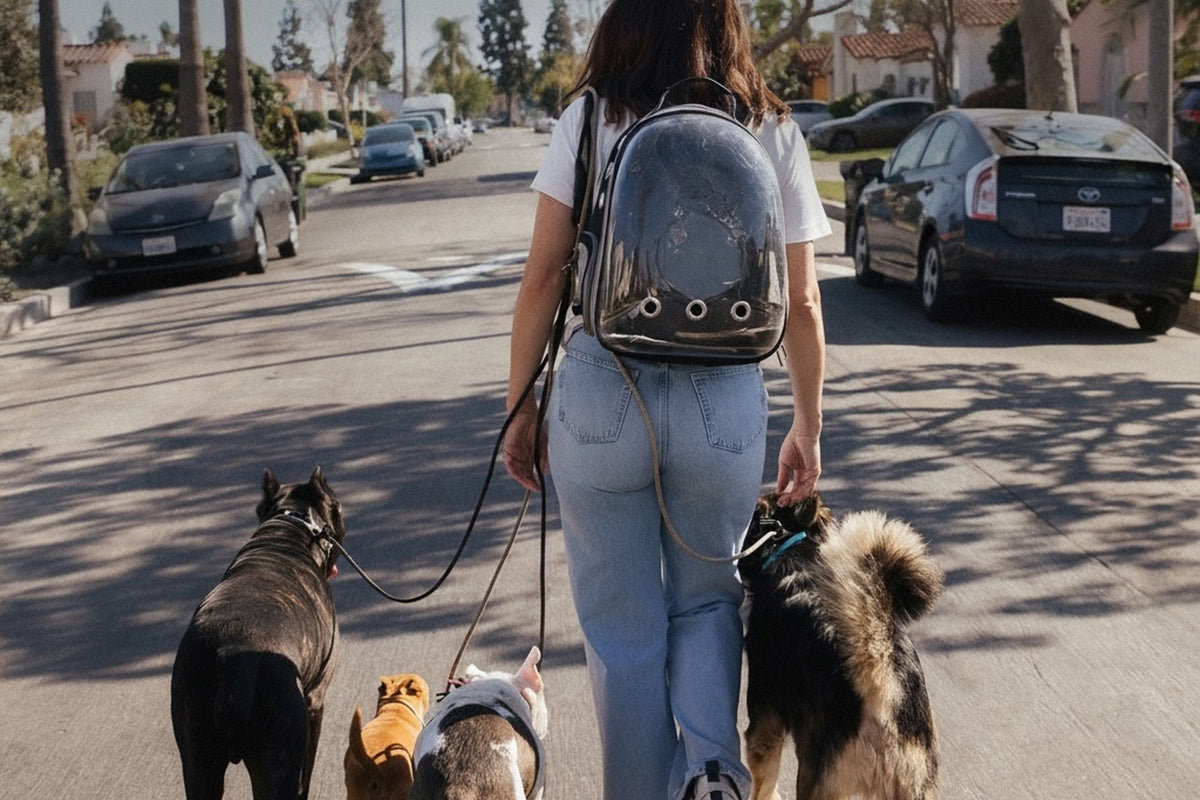 Samantha Johnson walking four dogs on a Los Angeles street