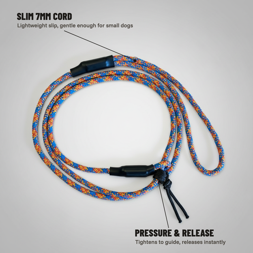 Mini Slip Leash