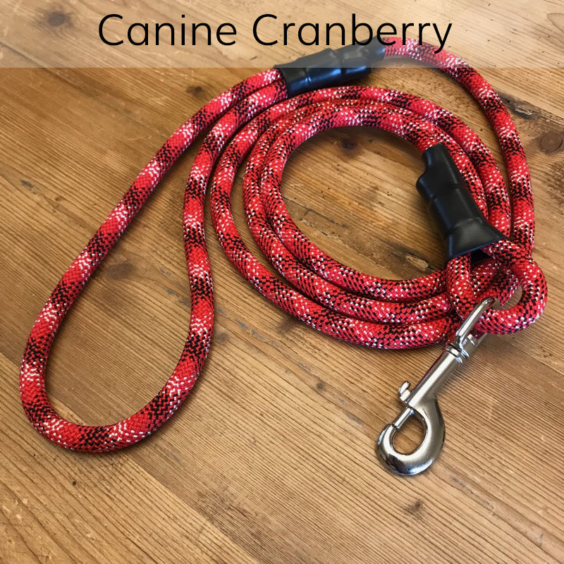 Standard Clip Leash in Canine Cranberry, upcycled climbing rope dog leash