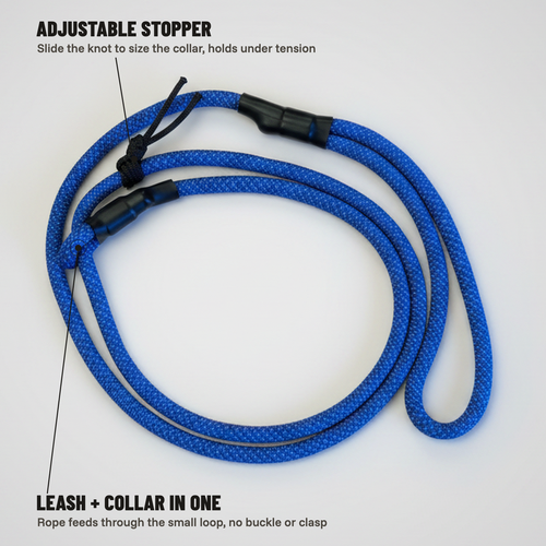 Standard Slip Leash