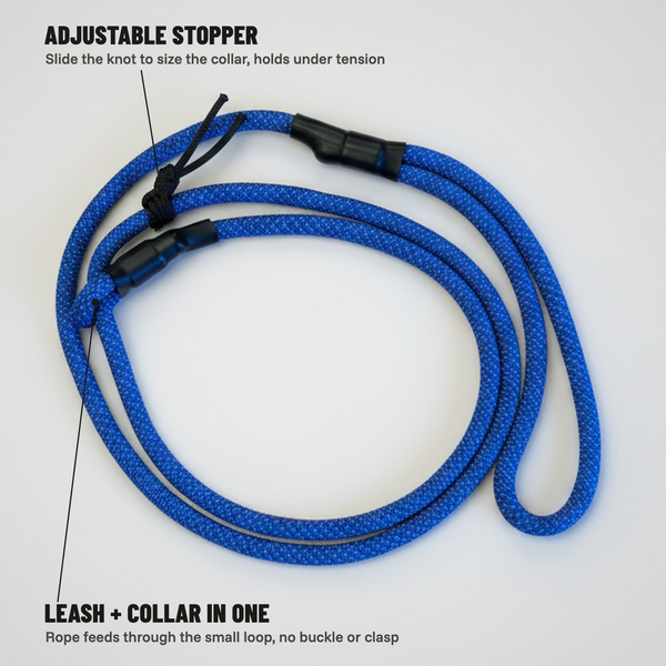 Standard Slip Leash