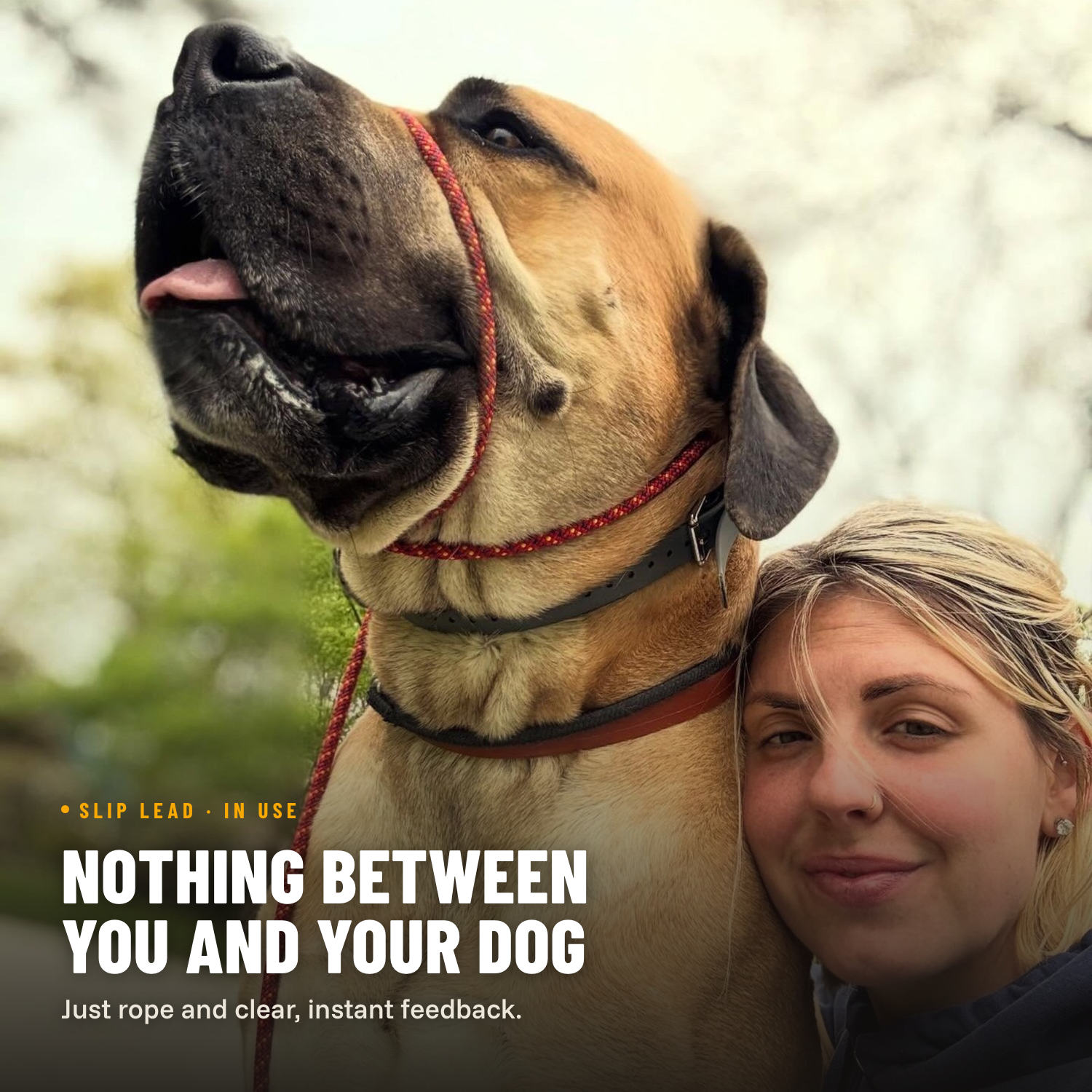 Standard Slip Leash