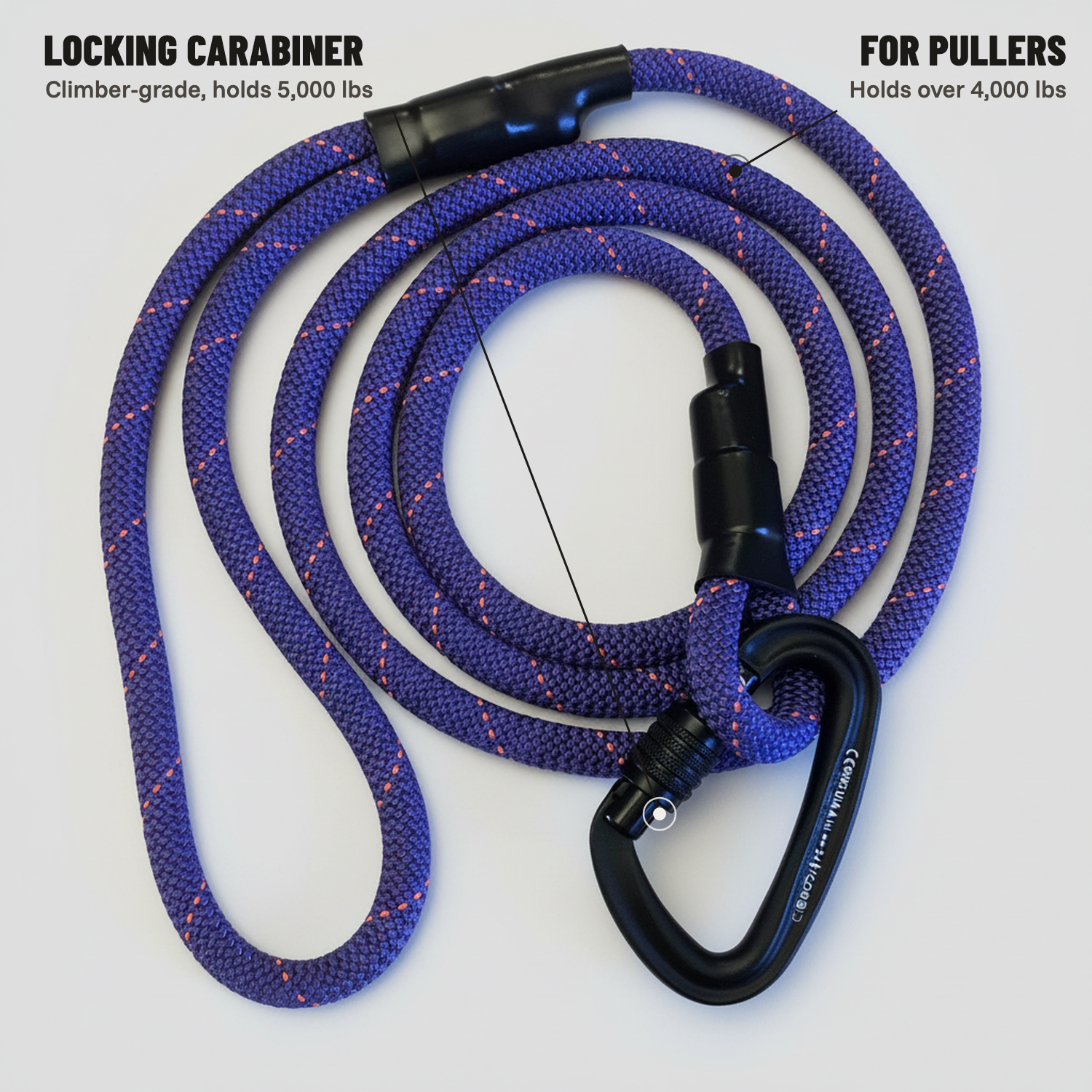 Standard Carabiner Leash