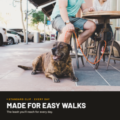 Standard Clip Leash