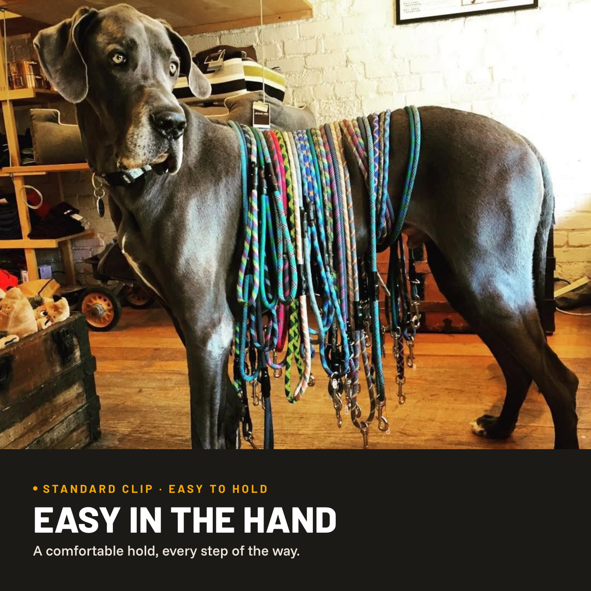 Standard Clip Leash by Mountain Dog Products