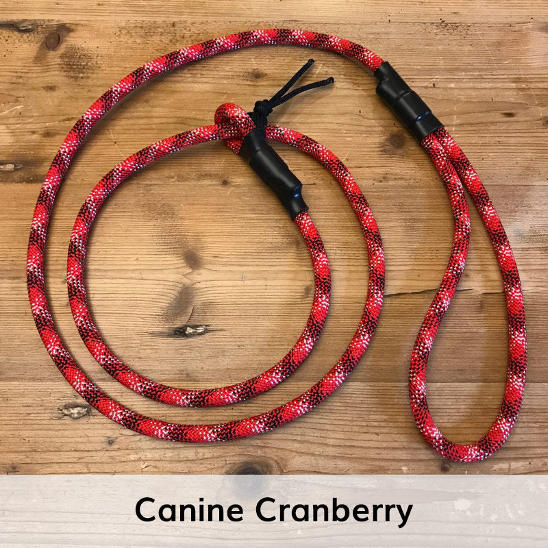 Standard Slip Leash