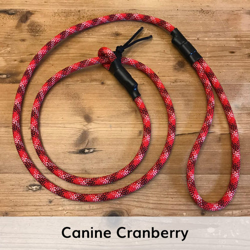 Standard Slip Leash