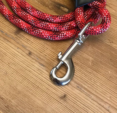 Clip lead. A metal snap hook that attaches to the collar or harness your dog already wears.